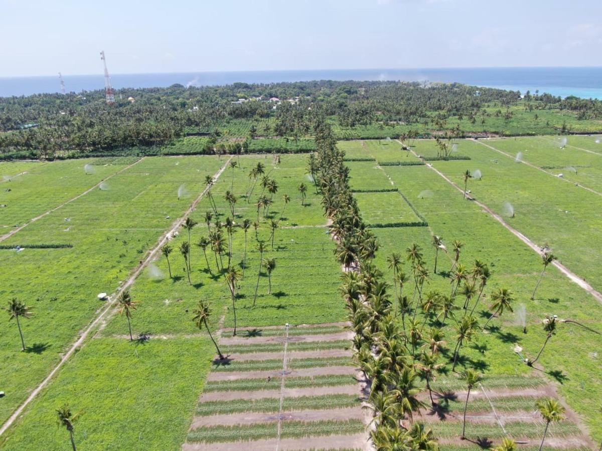 Thila Farm View Hotel Thoddoo Exterior photo